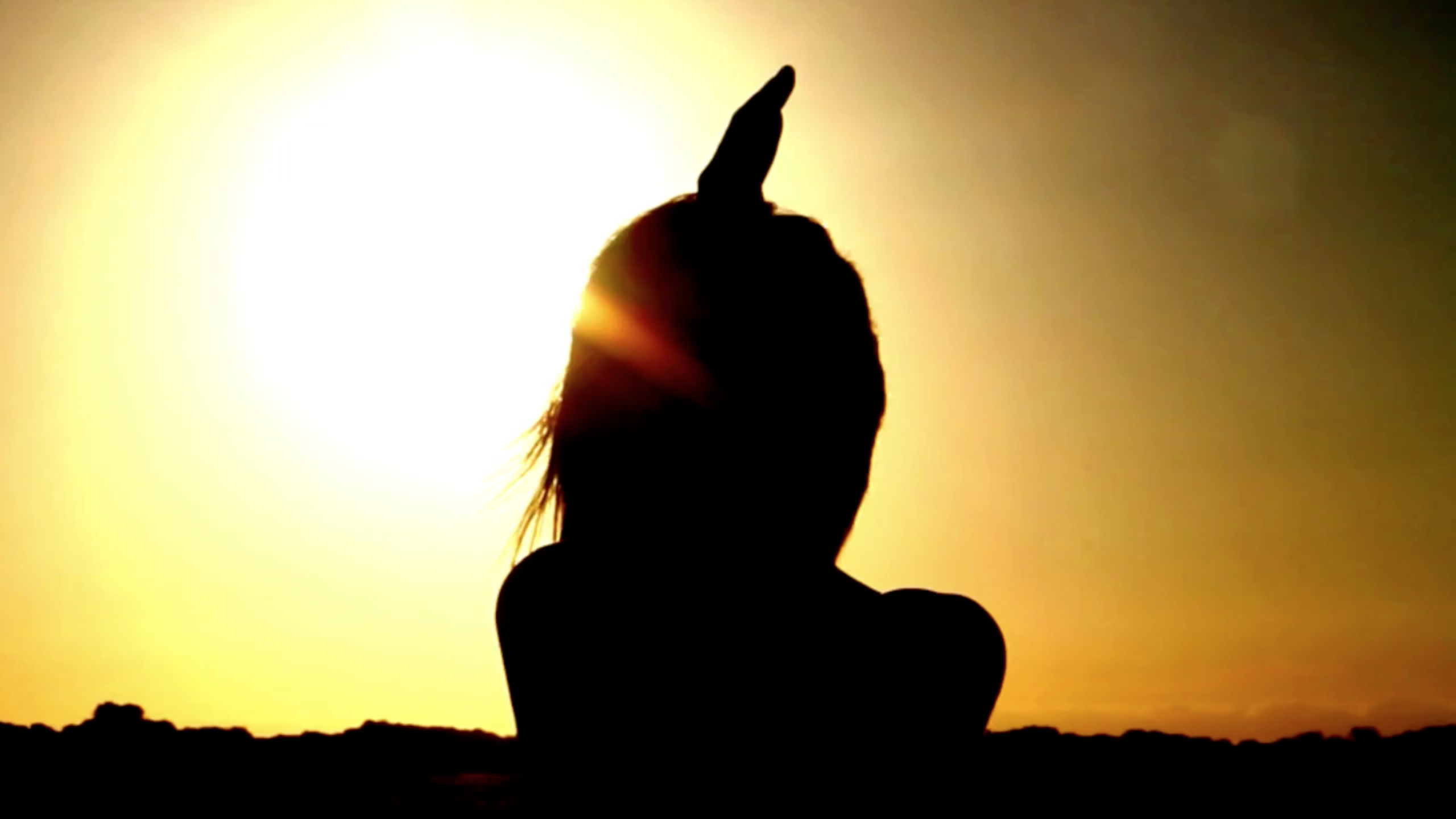 Grulla ● Wanda López