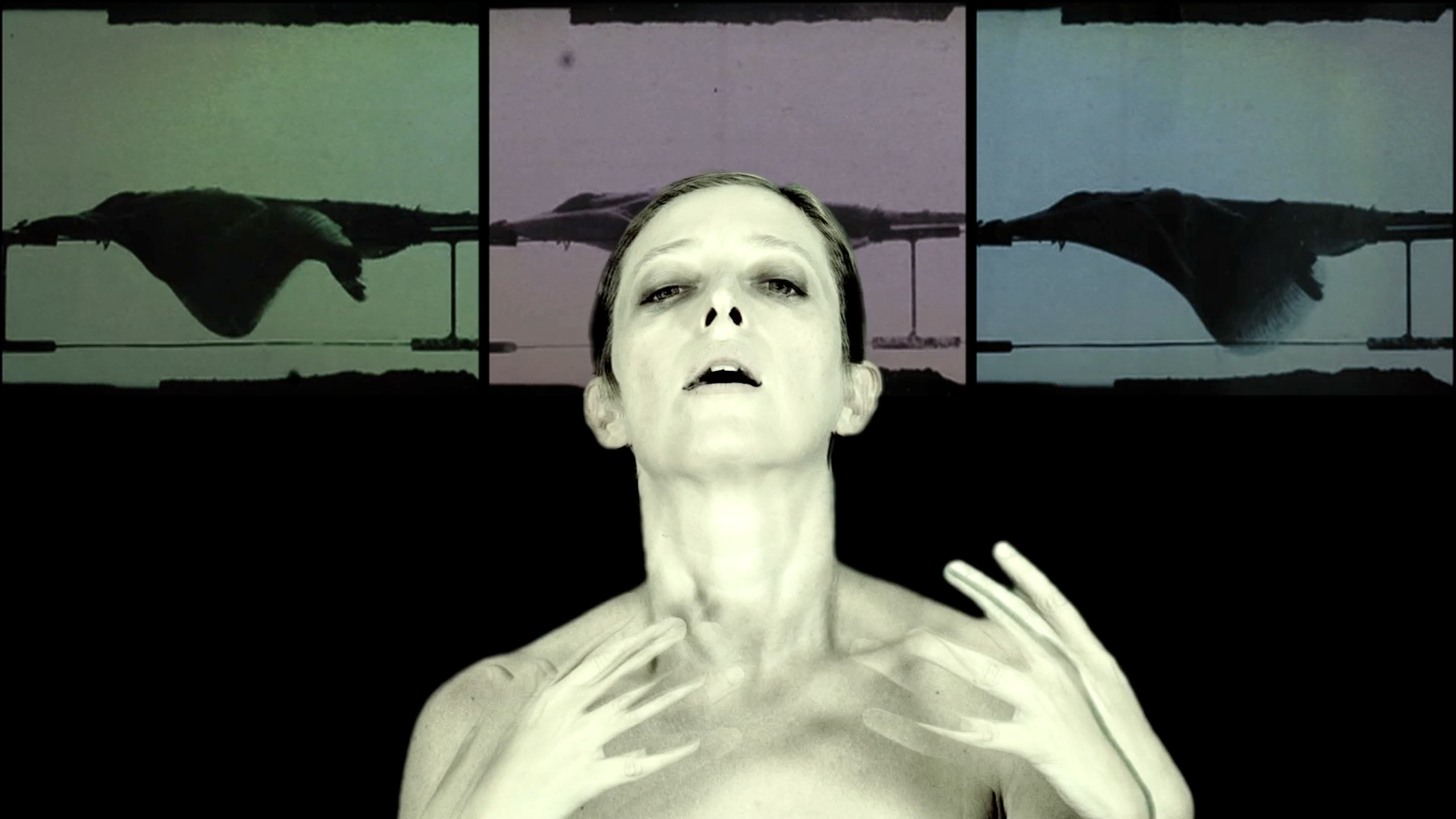 Your Body is your Buddha ● Antonello Matarazzo
